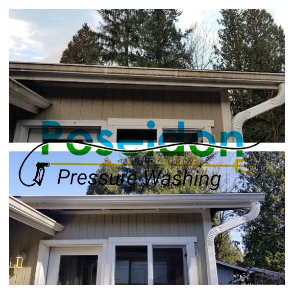 Olympia gutter cleaning
